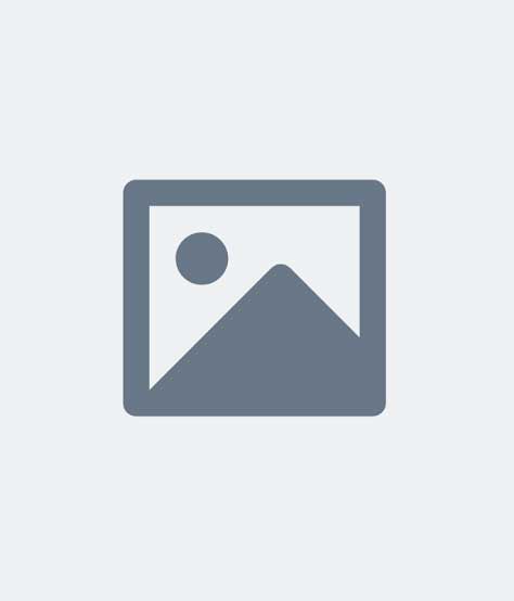 img placeholder